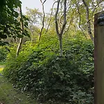 Upknappt